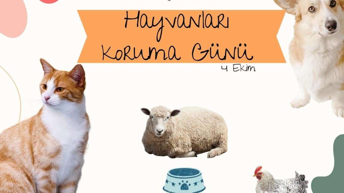 HAYVANLARI KORUMA GÜNÜ